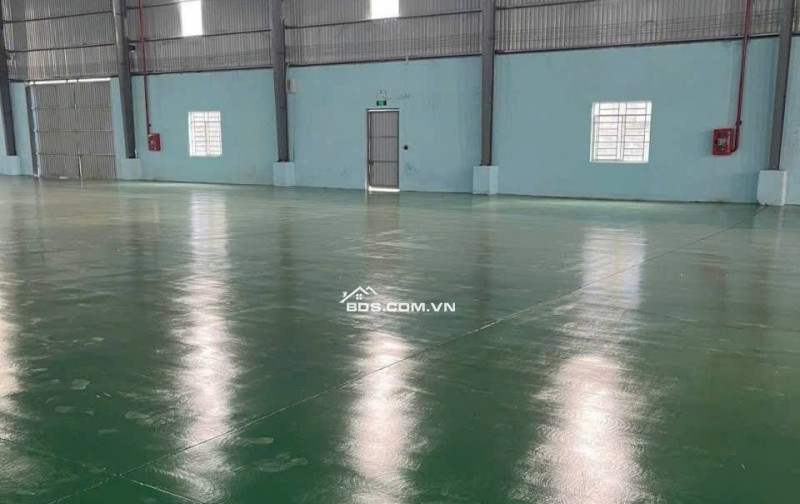 Kho xưởng dưới Đình Vũ 2500m2, PCCC tự động, làm được FDI, khuôn viên rộng 3ha